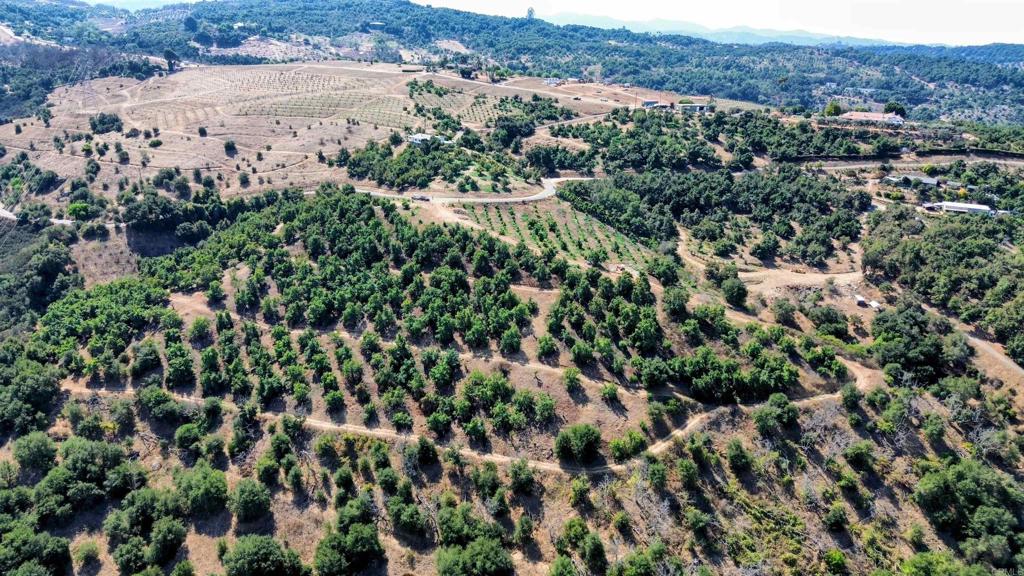 0 Couser Canyon Road Valley Center, CA 92082 - Photo 4 of 32 an aerial view of residential houses with outdoor space and trees