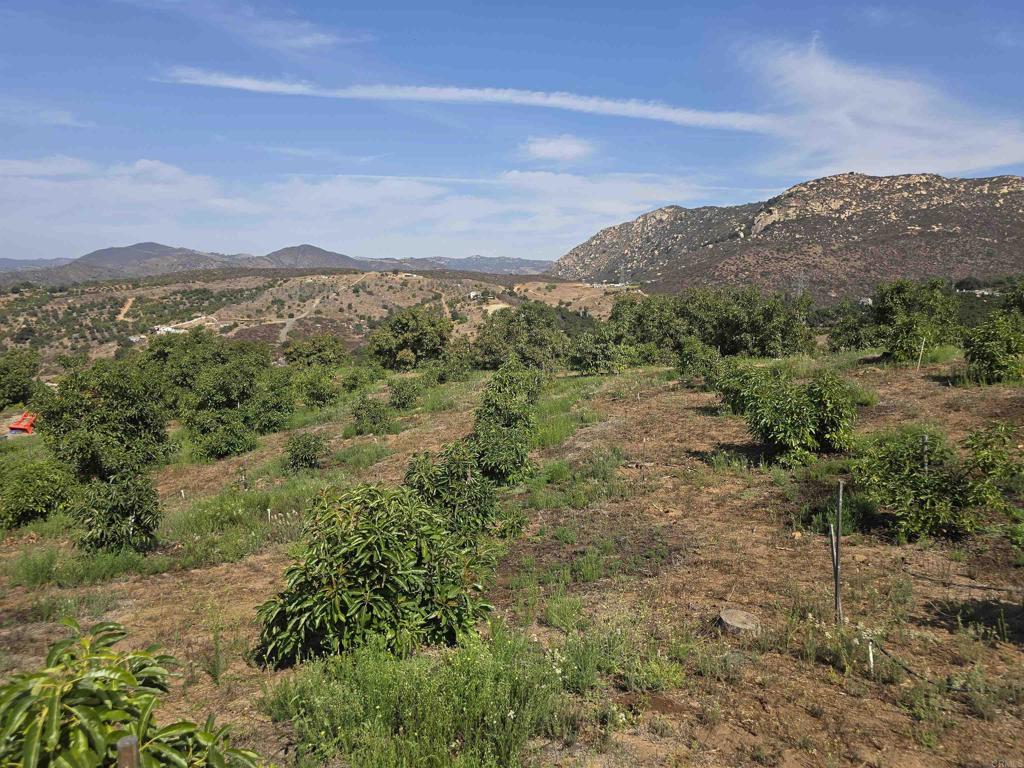 0 Couser Canyon Road Valley Center, CA 92082 - Photo 7 of 32 a view of a mountain in the distance in a field