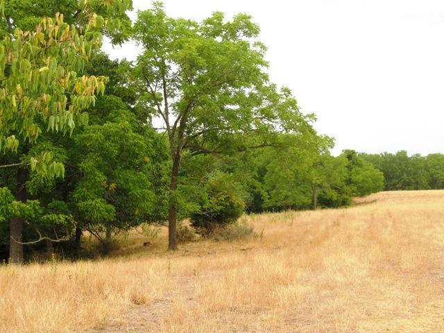 0 North Farm Road Strafford, MO 65757 - Photo 1 of 1 Primary Photo
