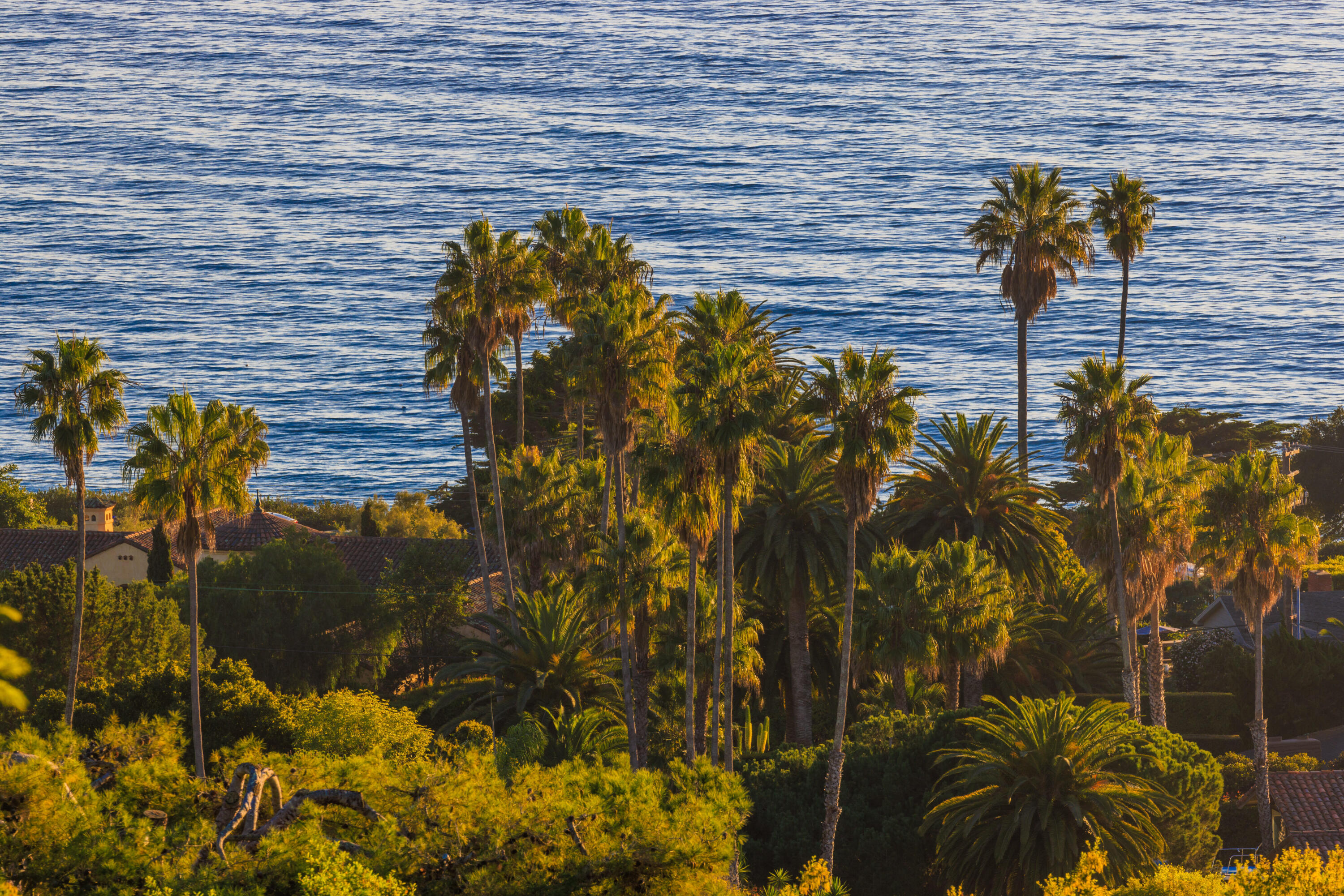 737 Sea Ranch Drive Santa Barbara, CA 93109 - Photo 17 of 40 Sea Ranch Beauty (24)
