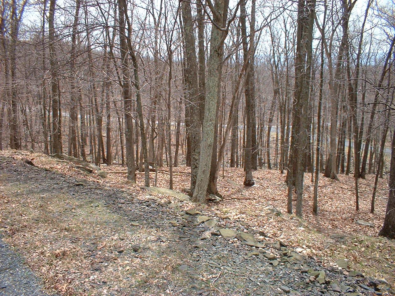 1654 Exeter Way Bushkill, PA 18324 - Photo 2 of 2 Listing Photo