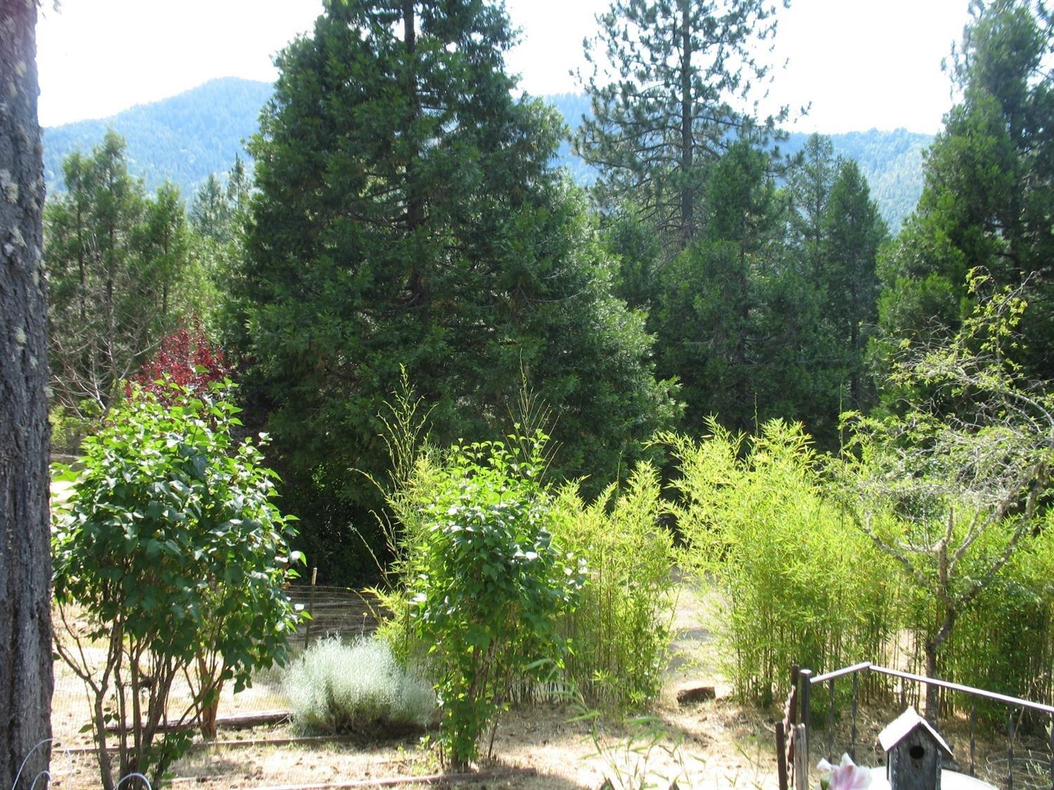1725 South Side Road Grants Pass, OR 97527 - Photo 3 of 13 Additional Photo