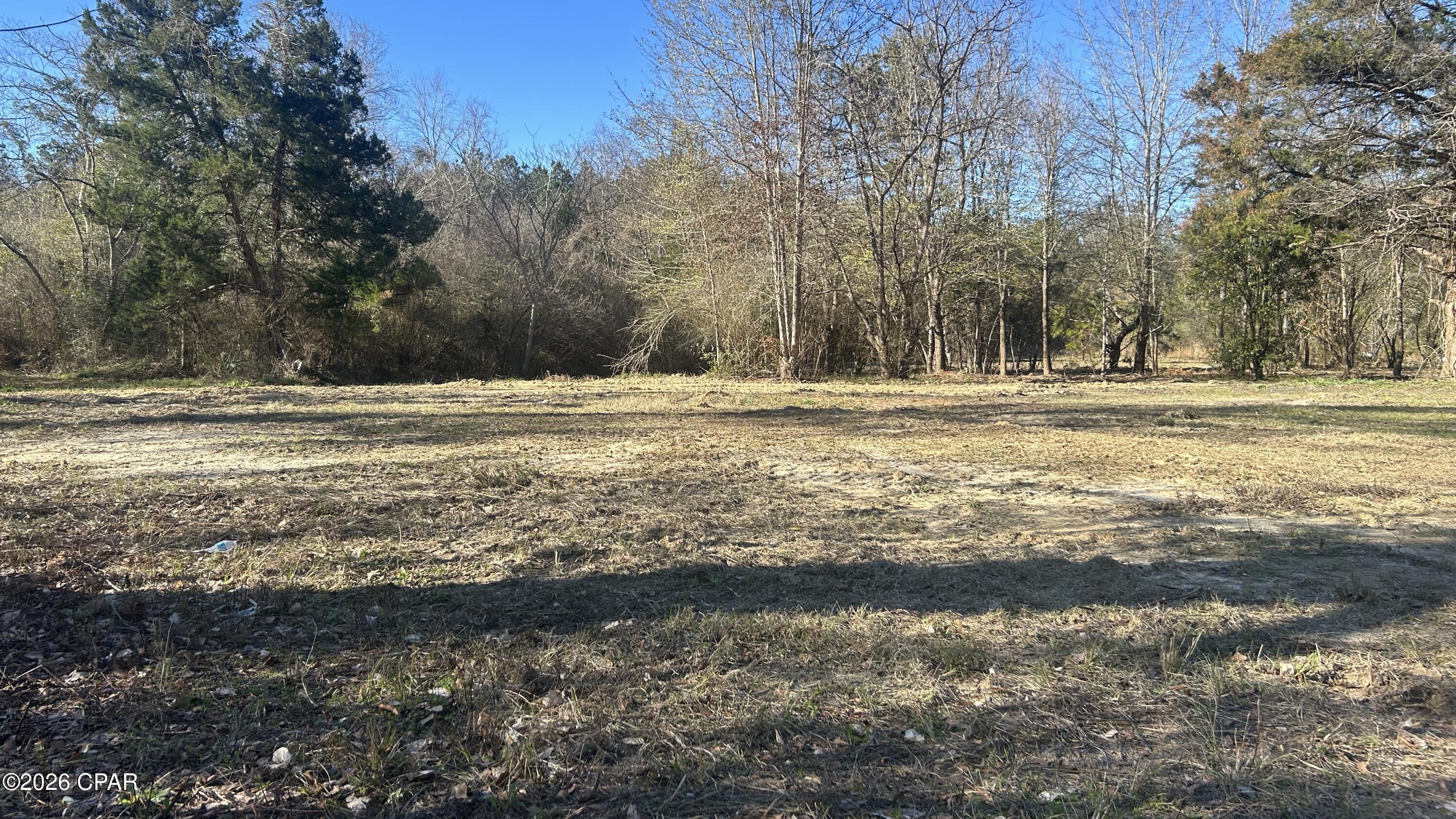 660 White Creek Road Ponce de Leon, FL 32455 - Photo 4 of 40