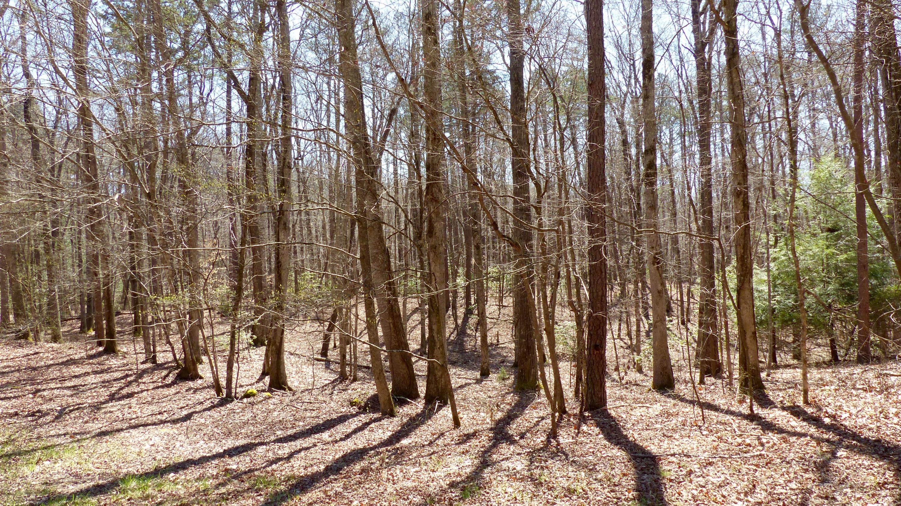0 Walker Branch Road, Unit 15 Dunlap, TN 37327 - Photo 2 of 19 P1010199 (1)