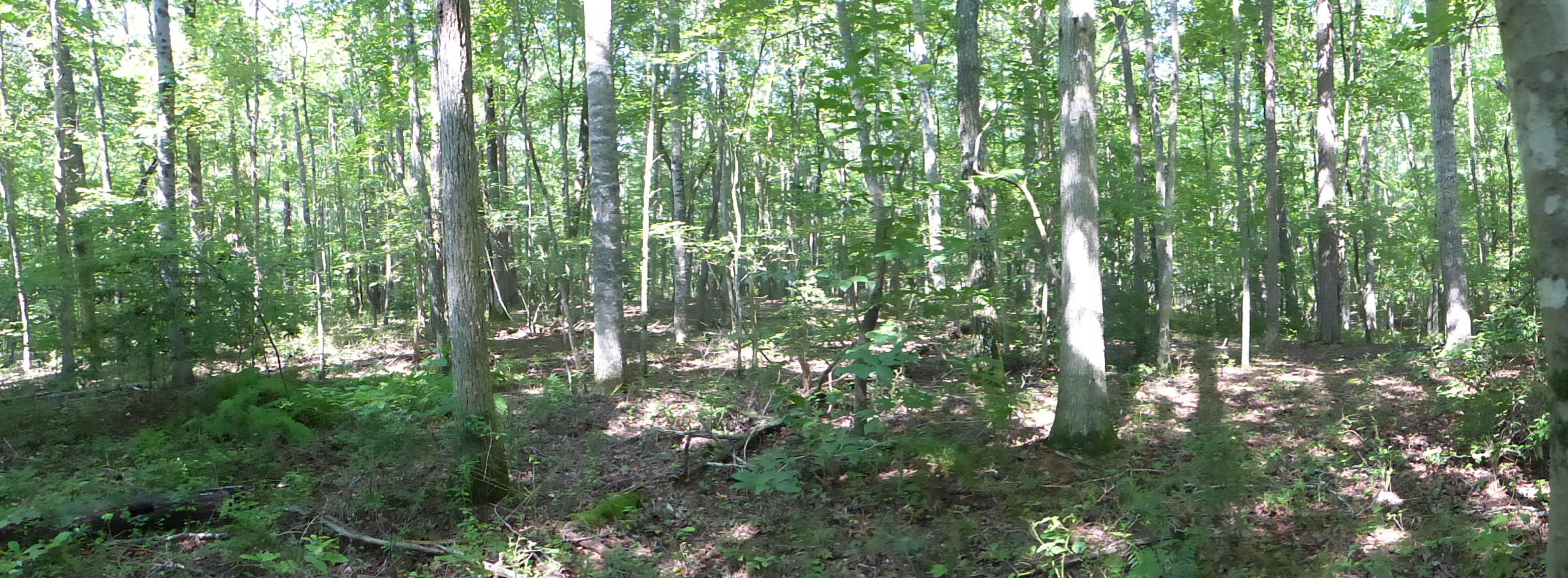 0 Walker Branch Road, Unit 15 Dunlap, TN 37327 - Photo 3 of 19 P1010213