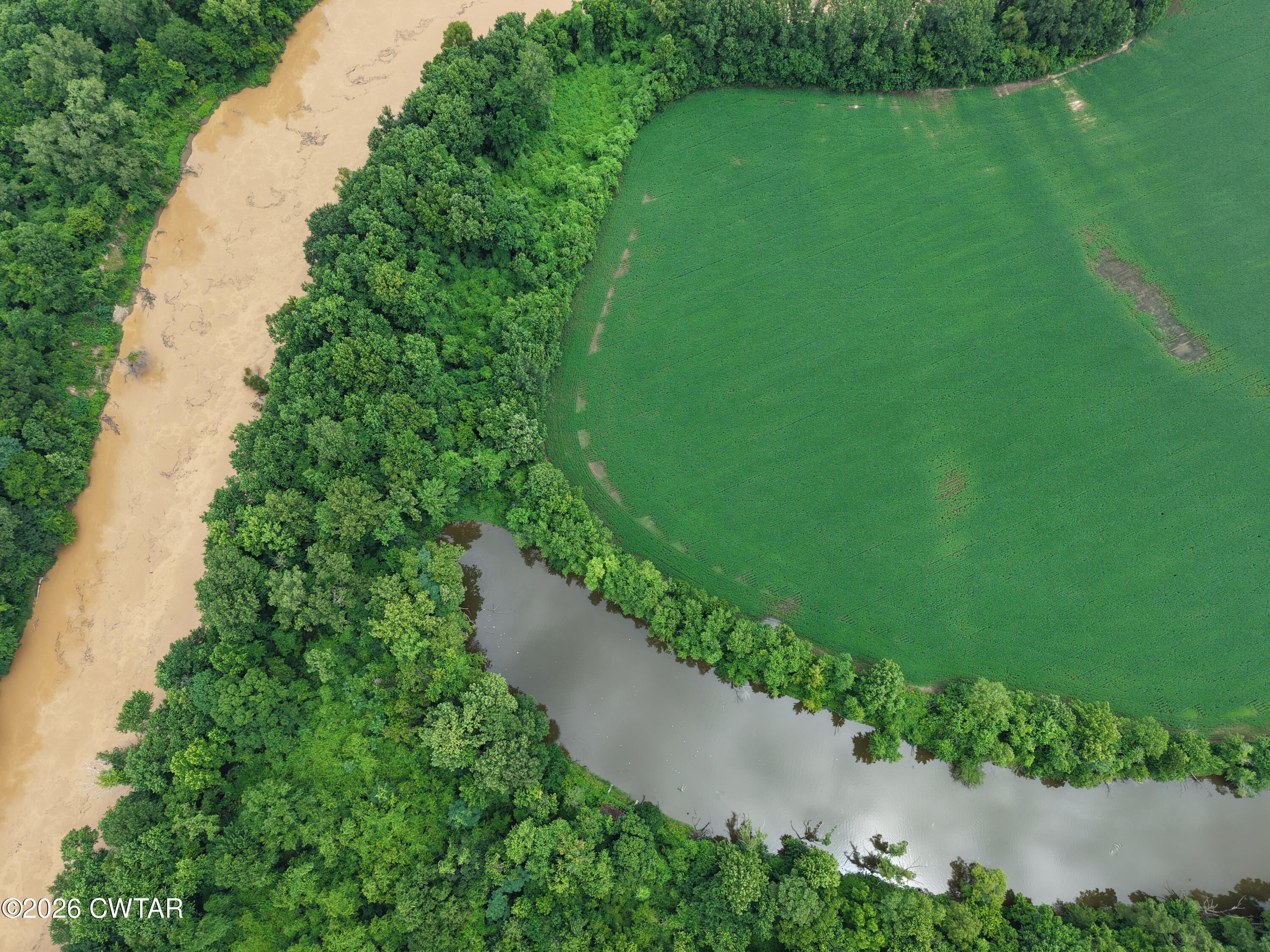 0 Miss Kelly Loop Finley, TN 38030 - Photo 2 of 14 DJI_20260615011929_0071_D