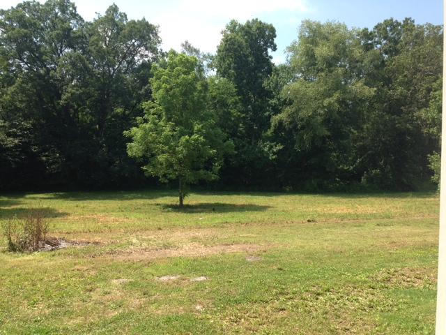 2696 Pocahontas Road Morrison, TN 37357 - Photo 14 of 15 Back Yard