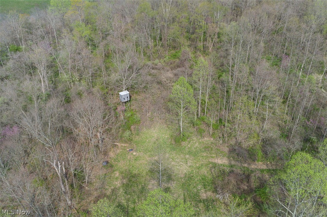 81910 Ourant Road Cadiz, OH 43907 - Photo 8 of 50