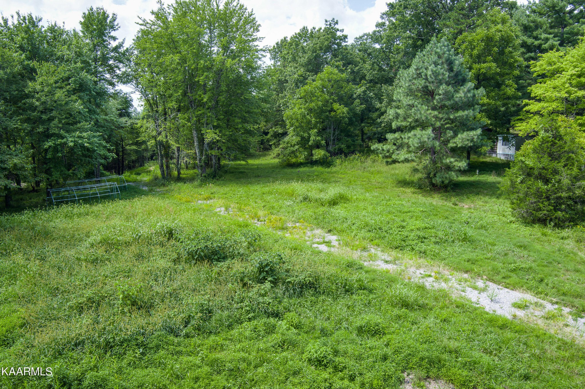462 Nydeck Road Robbins, TN 37852 - Photo 4 of 14