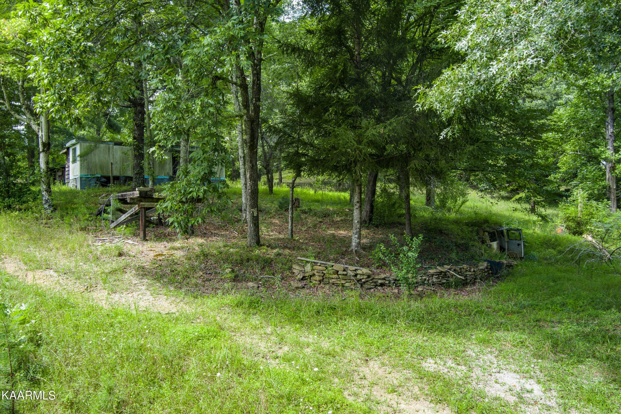 462 Nydeck Road Robbins, TN 37852 - Photo 8 of 14