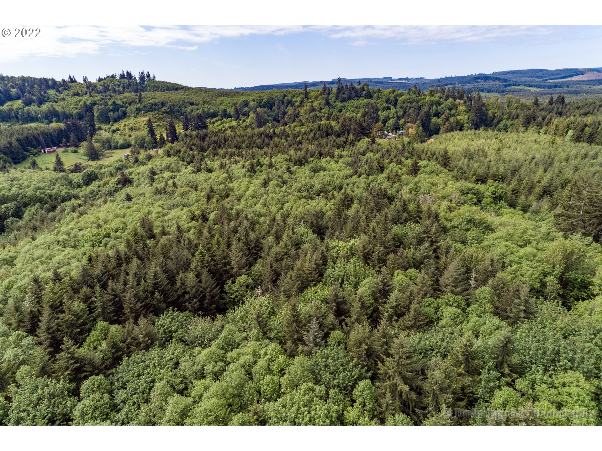 0 East Meissner Road Deer Island, OR 97054 - Photo 3 of 6