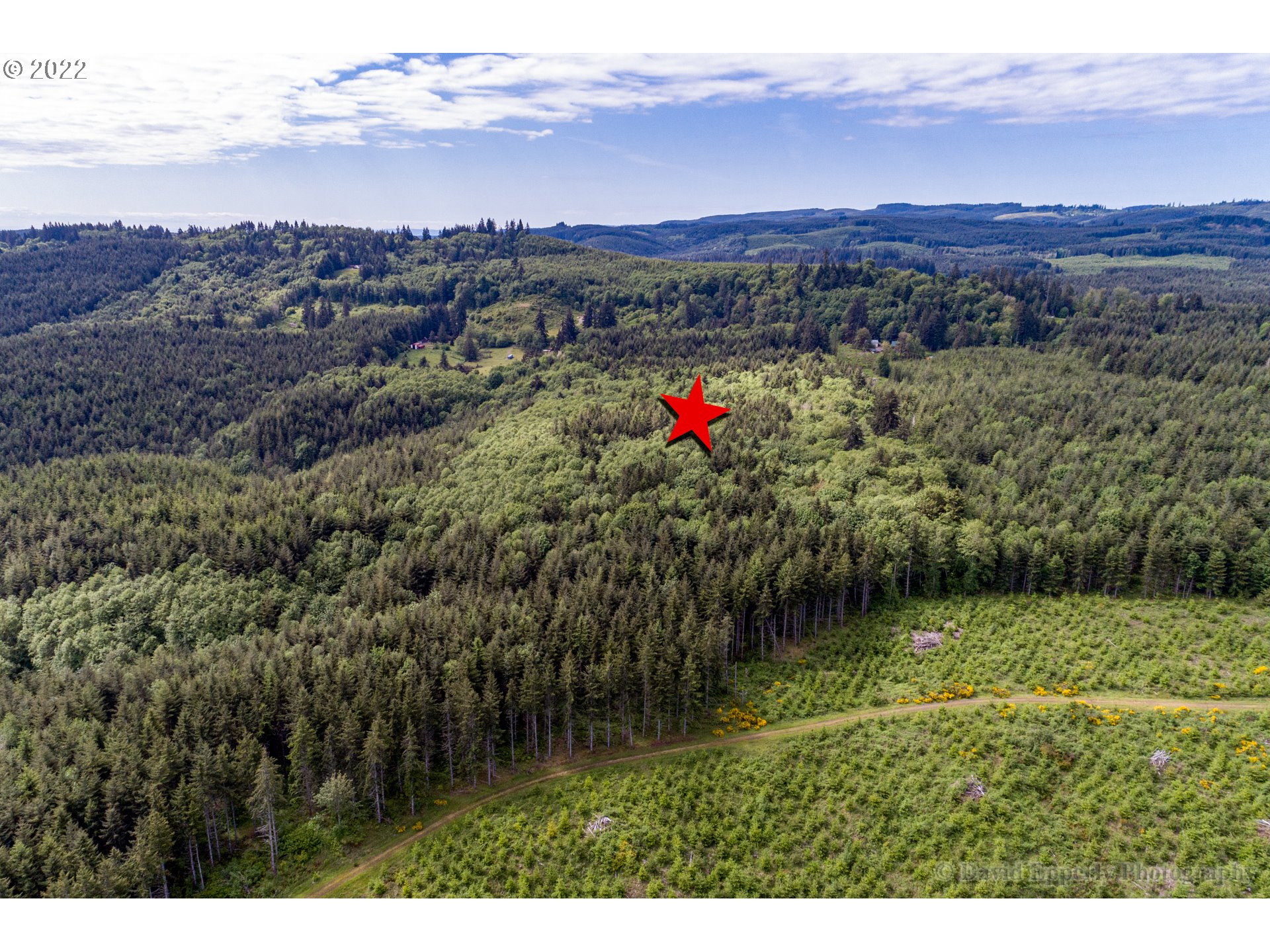 0 East Meissner Road Deer Island, OR 97054 - Photo 4 of 6