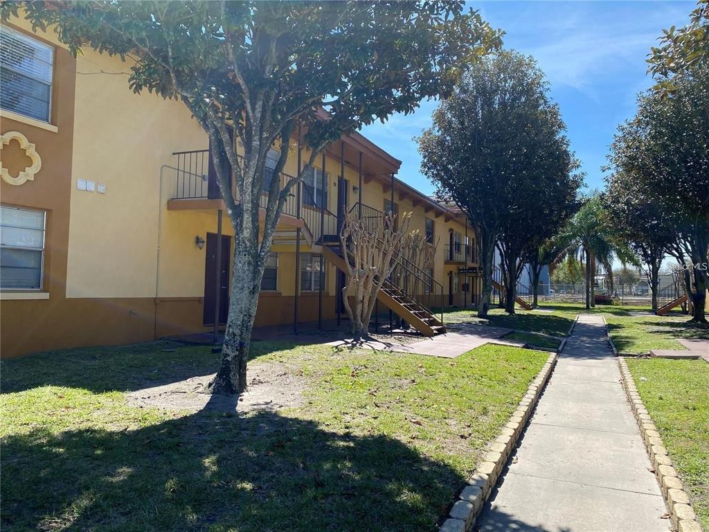 a view of a yard with plants