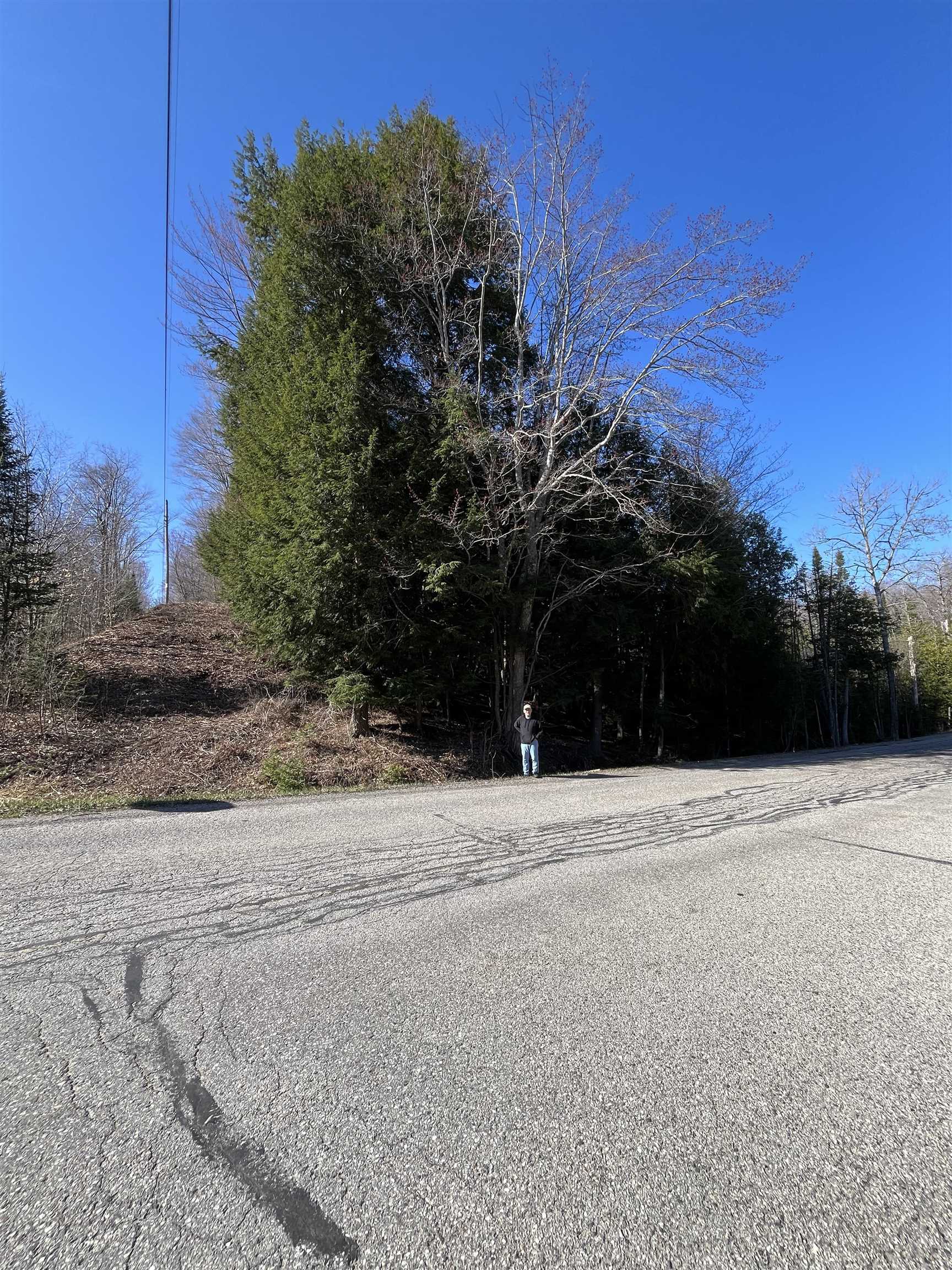 0 Valley Road, Unit LOT: 1A Alanson, MI 49706 - Photo 17 of 18