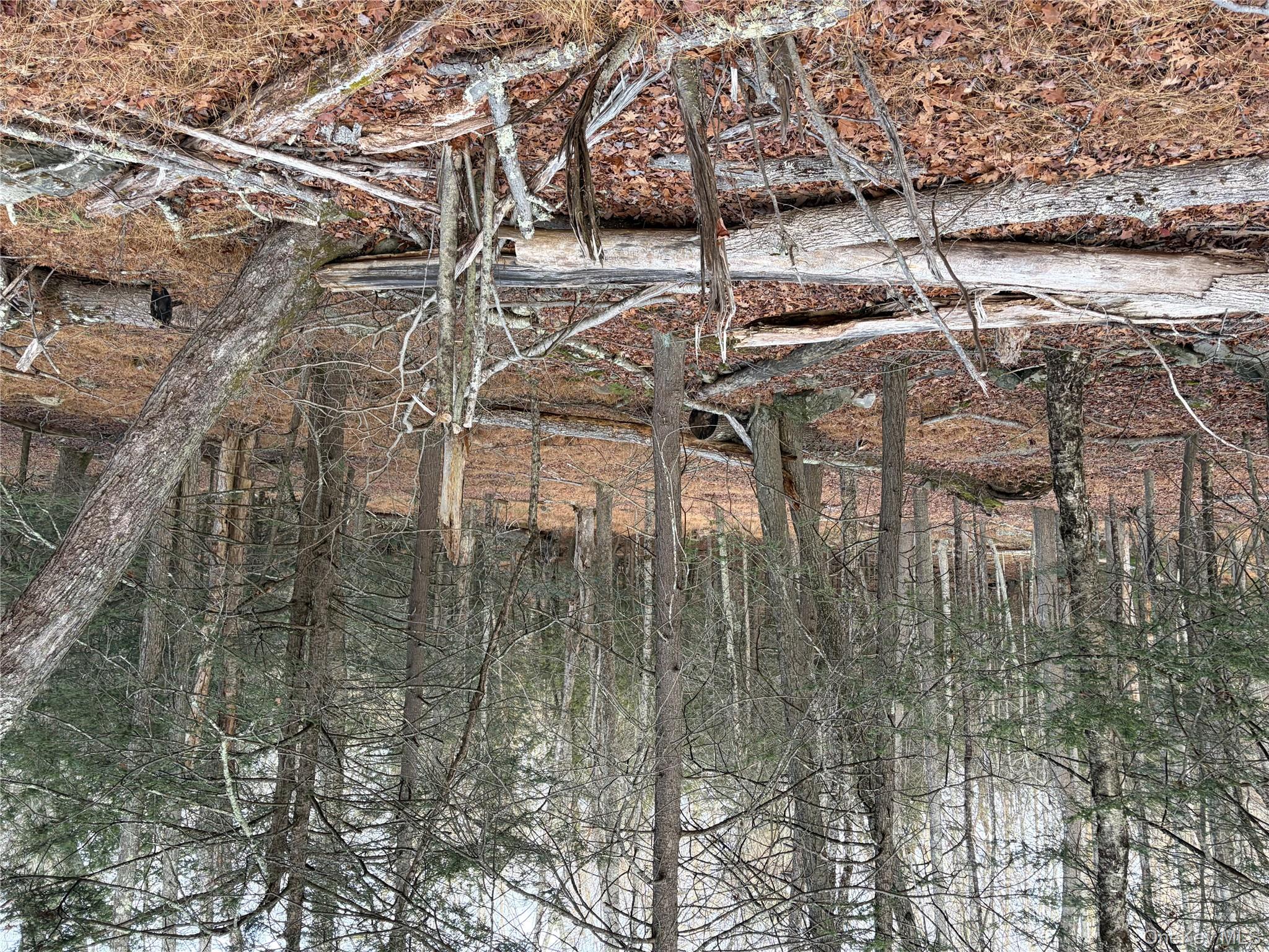X Aldrich Road Mountain Dale, NY 12790 - Photo 11 of 27 a view of outdoor space with seating area