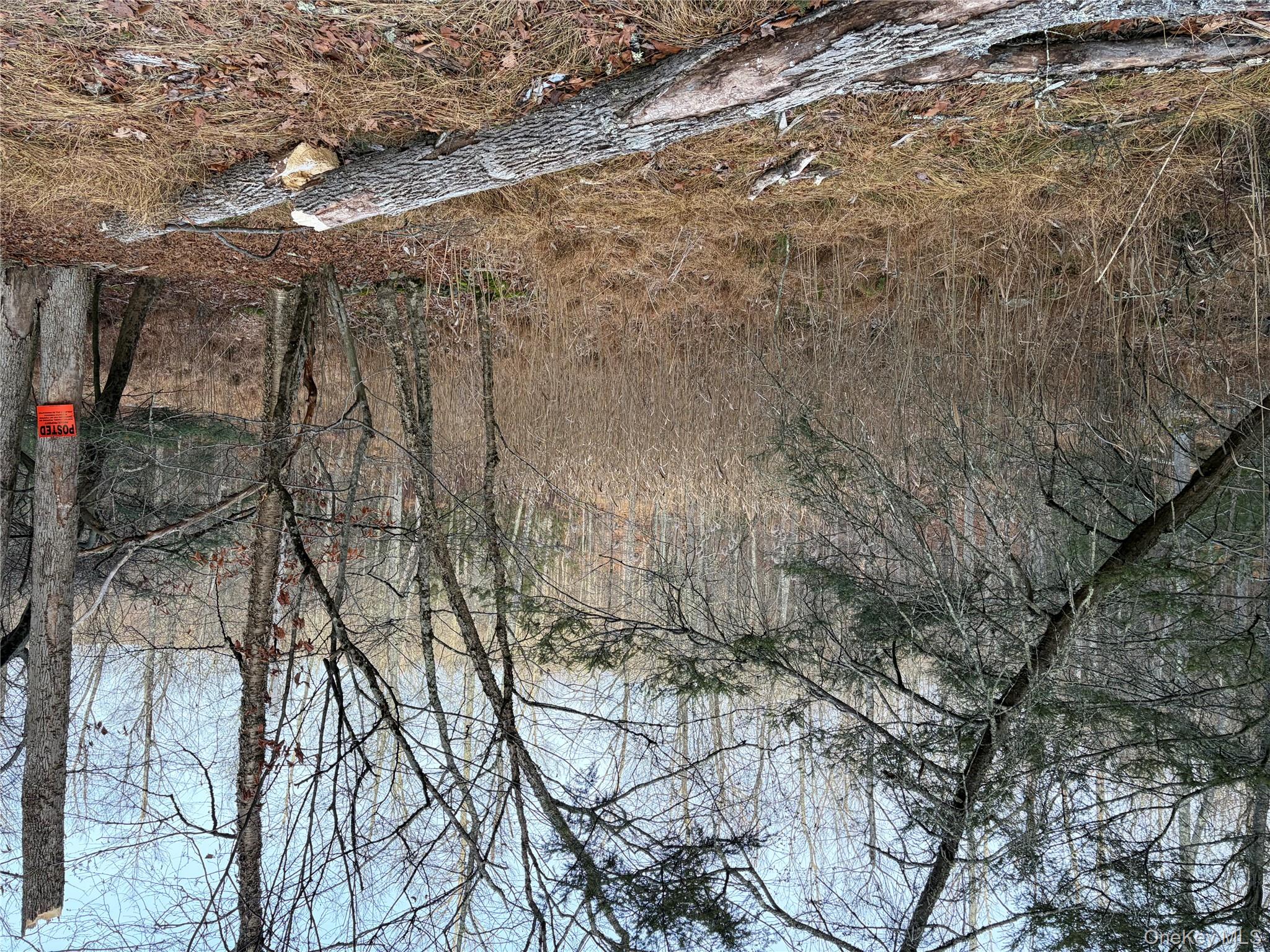 X Aldrich Road Mountain Dale, NY 12790 - Photo 13 of 27 a backyard of a house with lots of green space