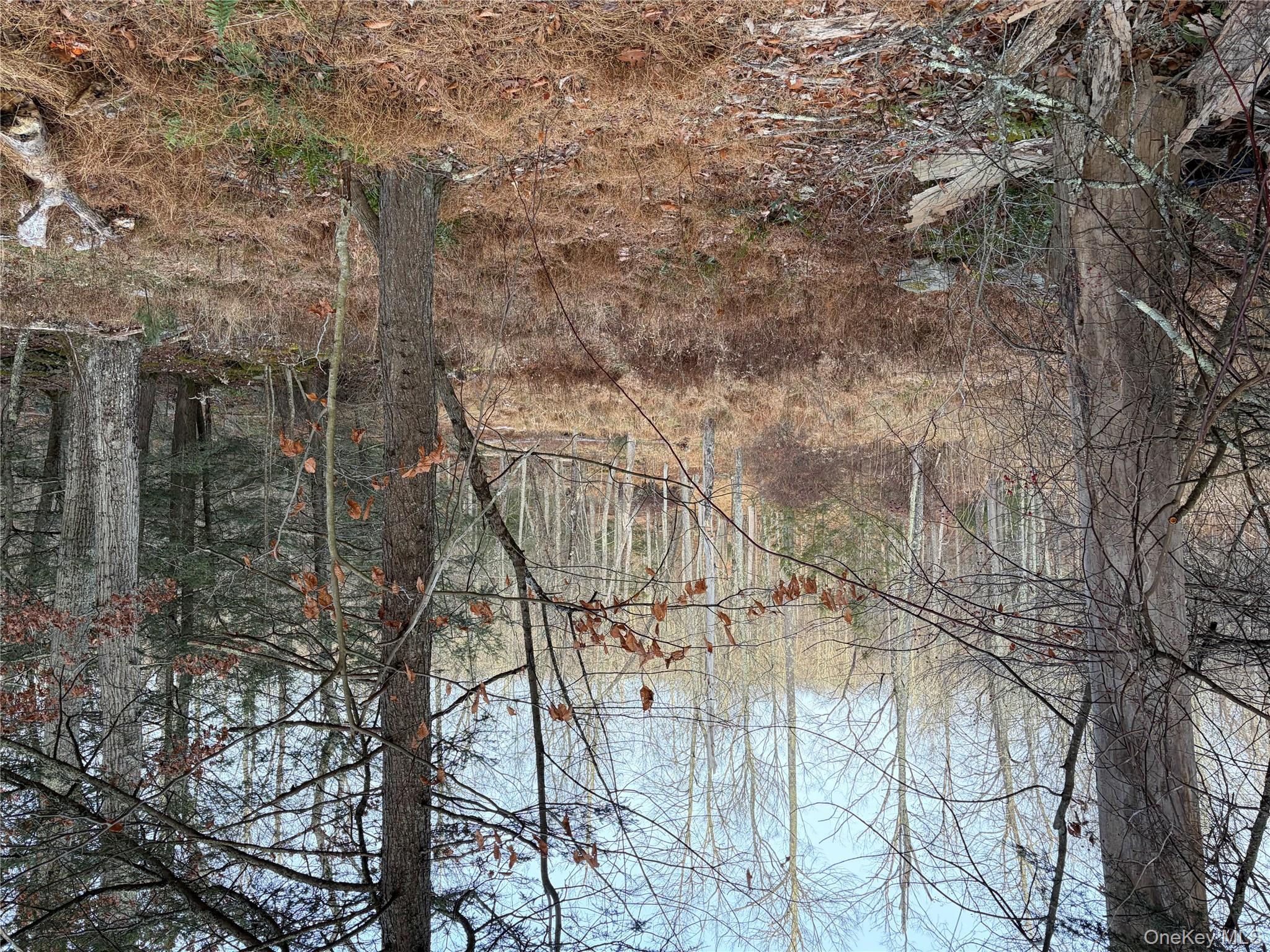 X Aldrich Road Mountain Dale, NY 12790 - Photo 14 of 27 a backyard of a house with lots of green space