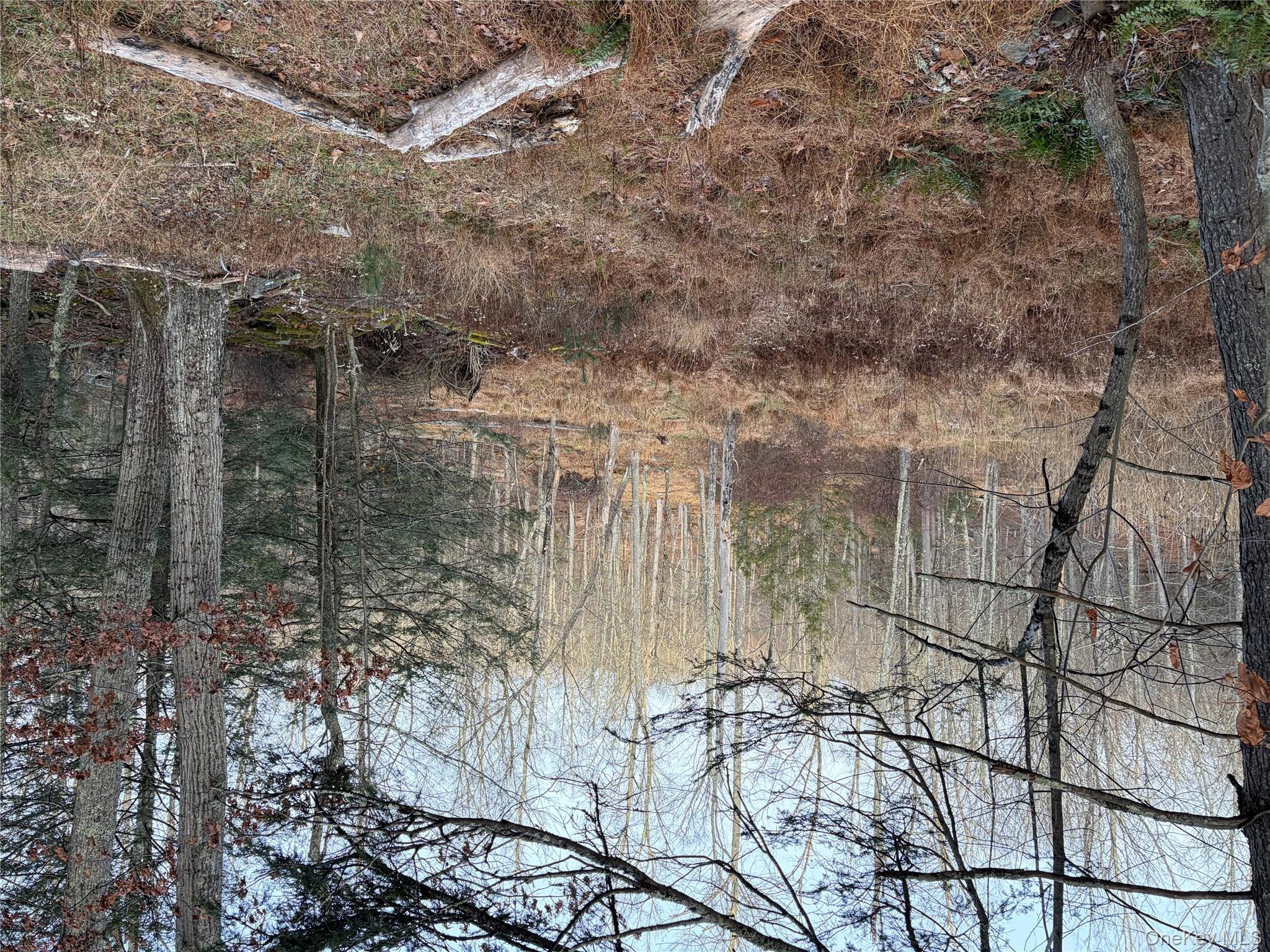 X Aldrich Road Mountain Dale, NY 12790 - Photo 16 of 27 a backyard of a house with lots of green space