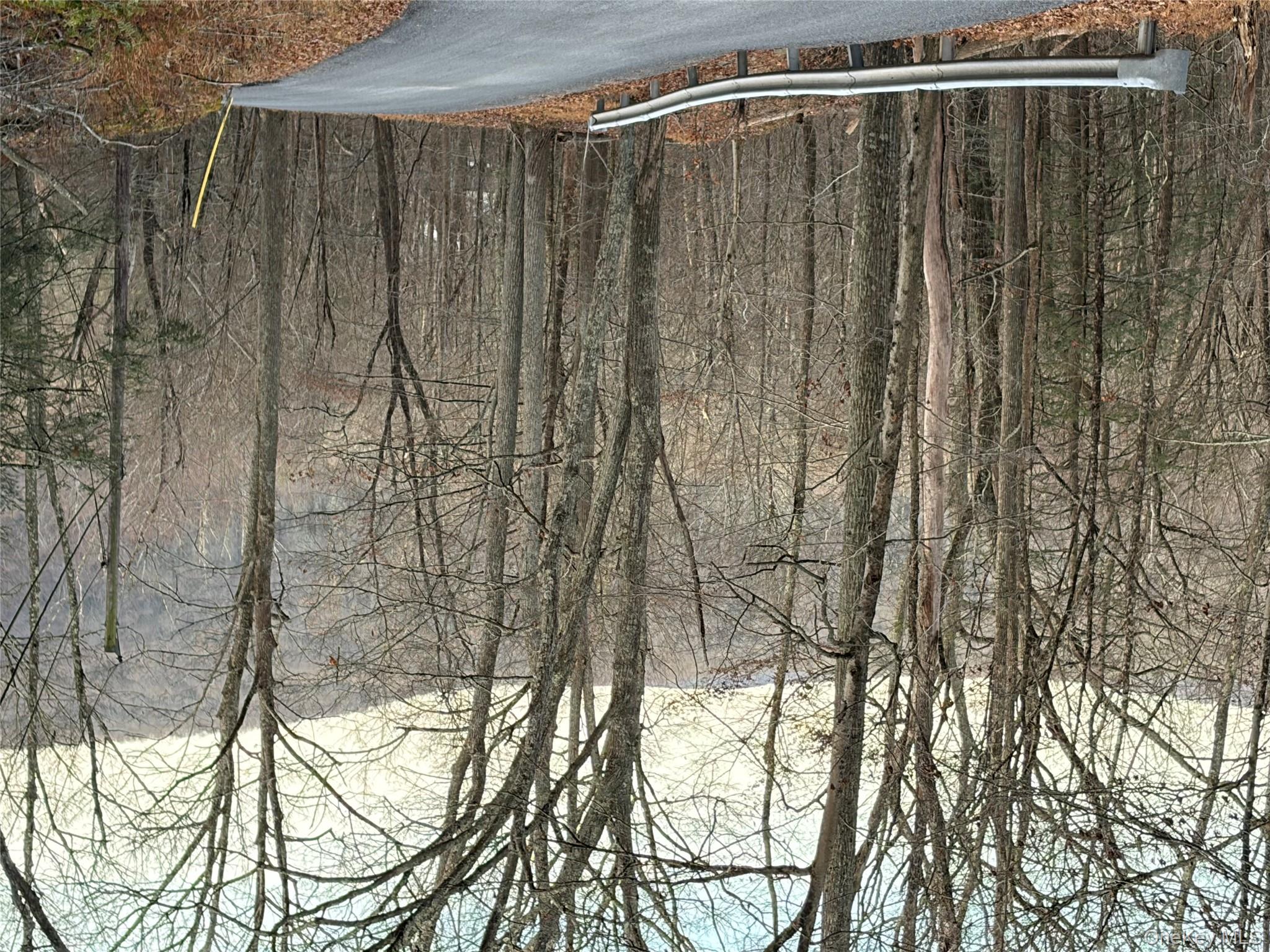 X Aldrich Road Mountain Dale, NY 12790 - Photo 19 of 27 a view of a backyard