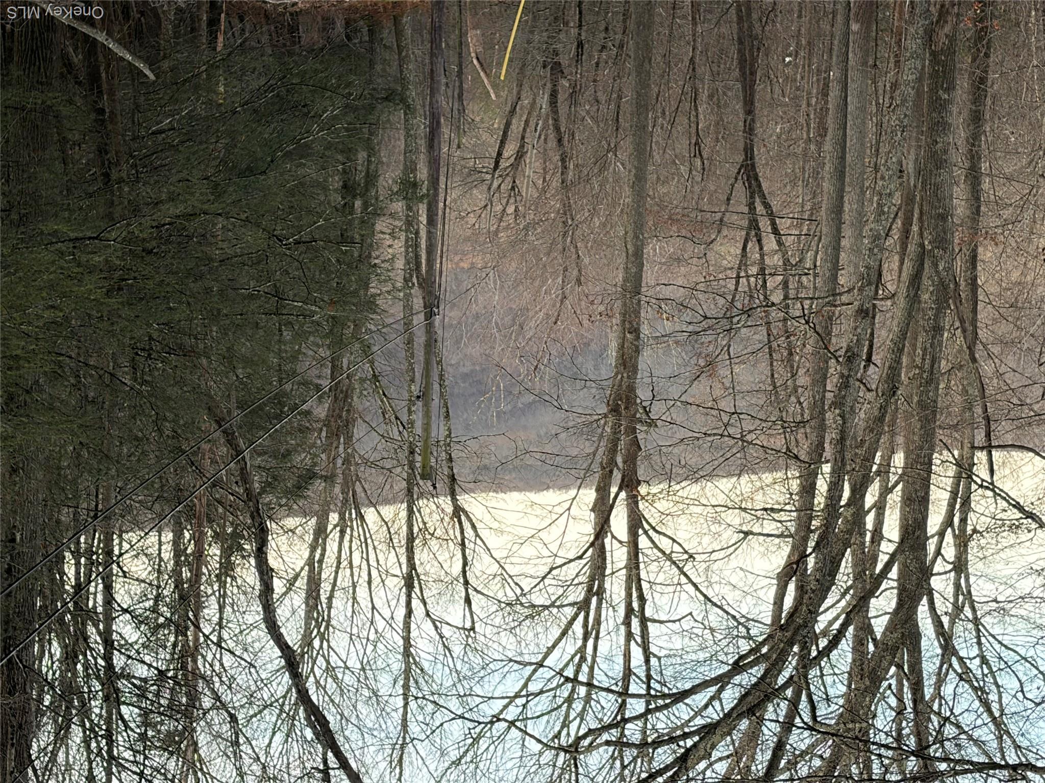 X Aldrich Road Mountain Dale, NY 12790 - Photo 20 of 27 Water view with a heavily wooded area