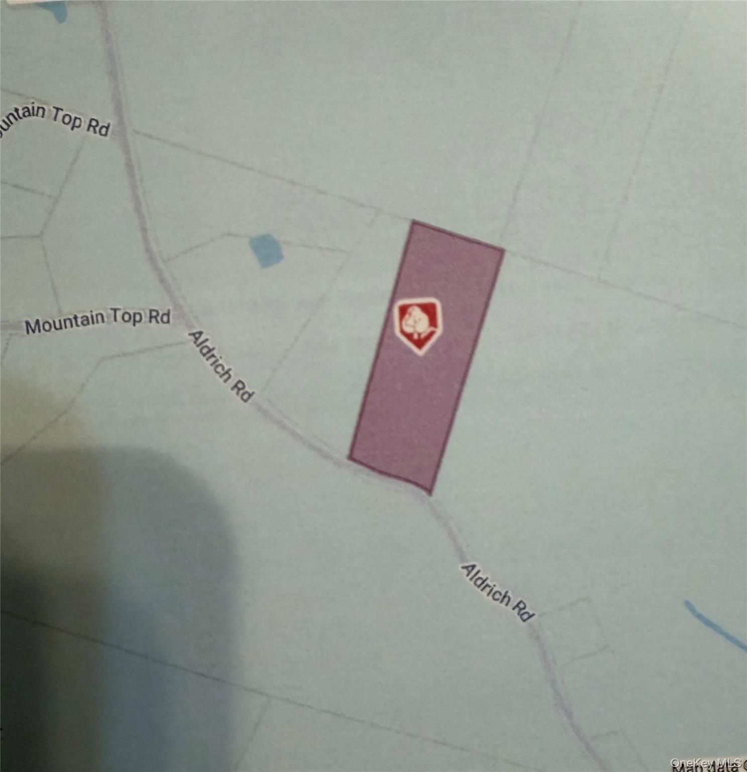 X Aldrich Road Mountain Dale, NY 12790 - Photo 2 of 27 a view of a wall with a sign