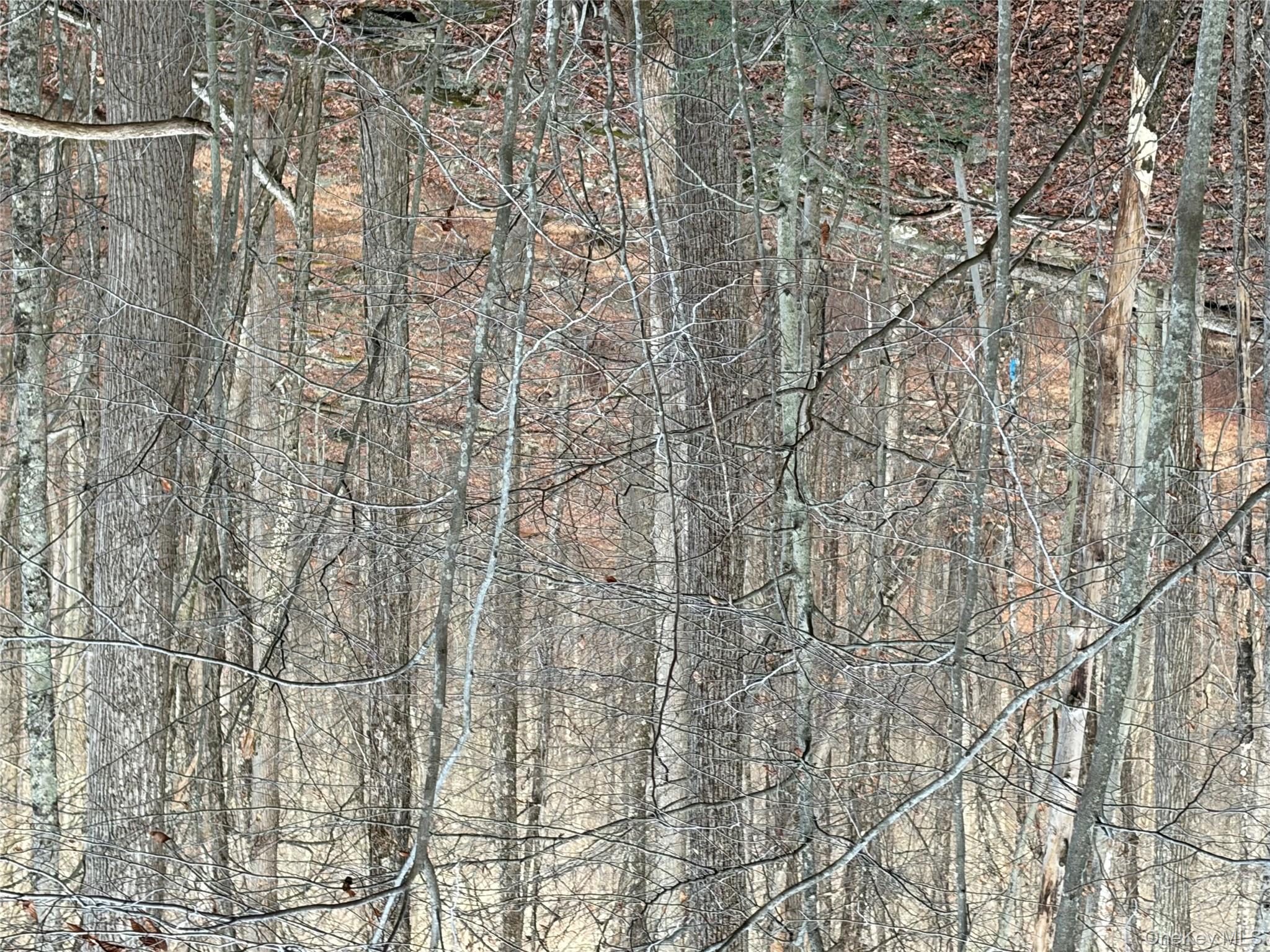 X Aldrich Road Mountain Dale, NY 12790 - Photo 21 of 27