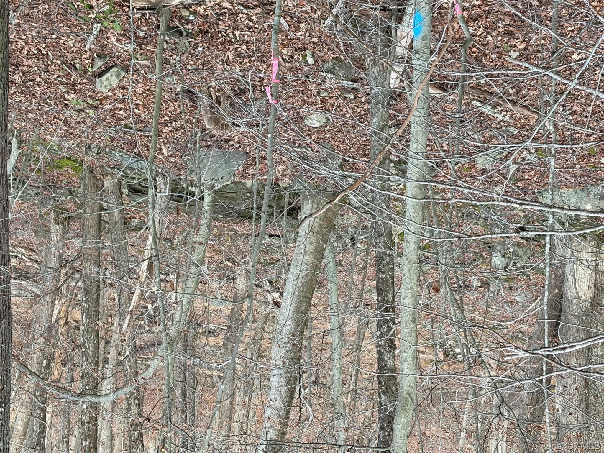 X Aldrich Road Mountain Dale, NY 12790 - Photo 22 of 27