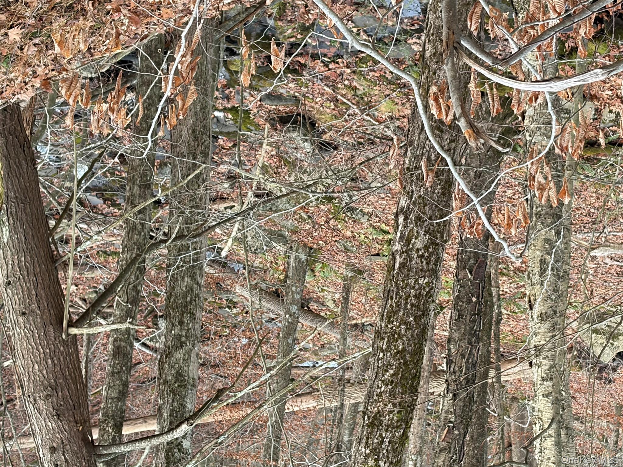 X Aldrich Road Mountain Dale, NY 12790 - Photo 25 of 27 a backyard of a building
