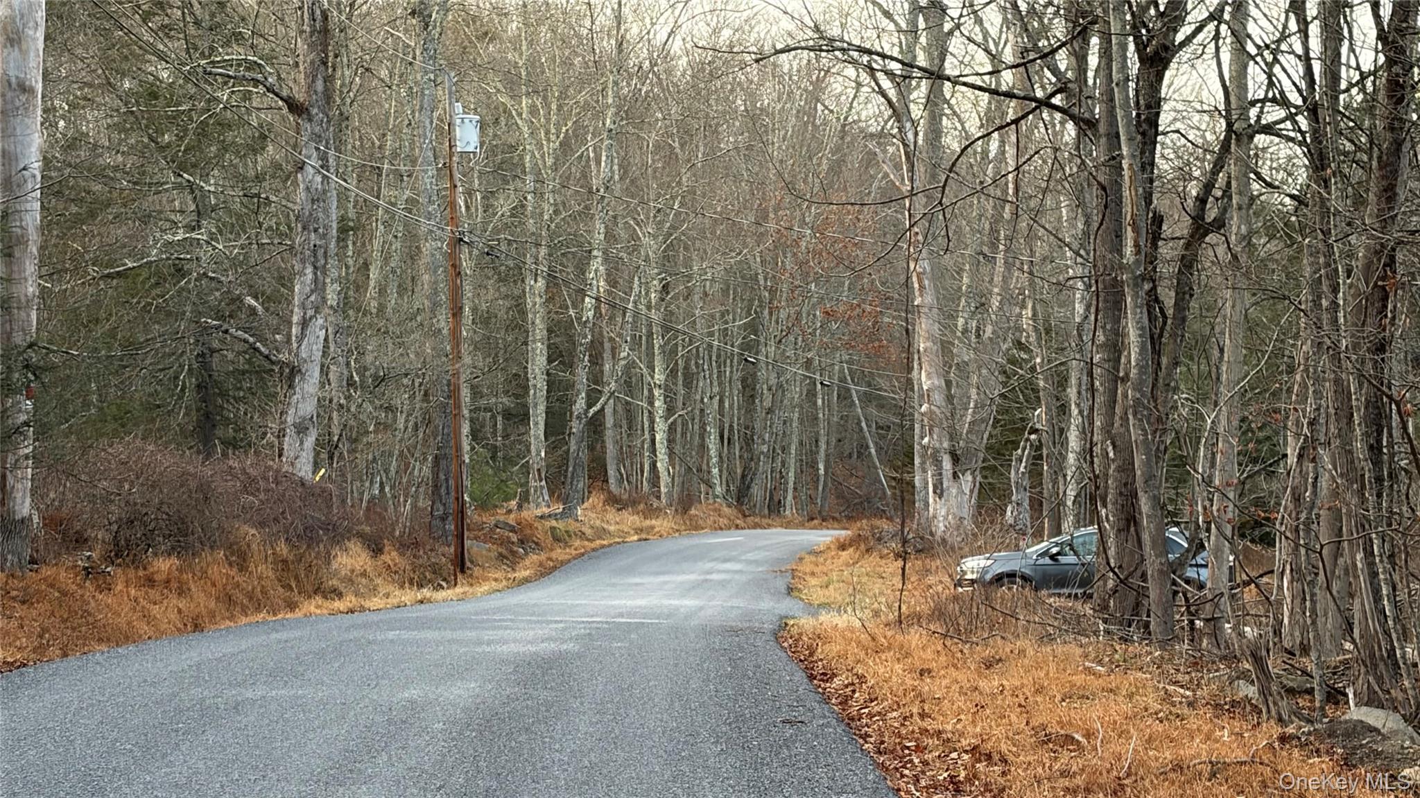 X Aldrich Road Mountain Dale, NY 12790 - Photo 27 of 27 a backyard of a house with lots of green space