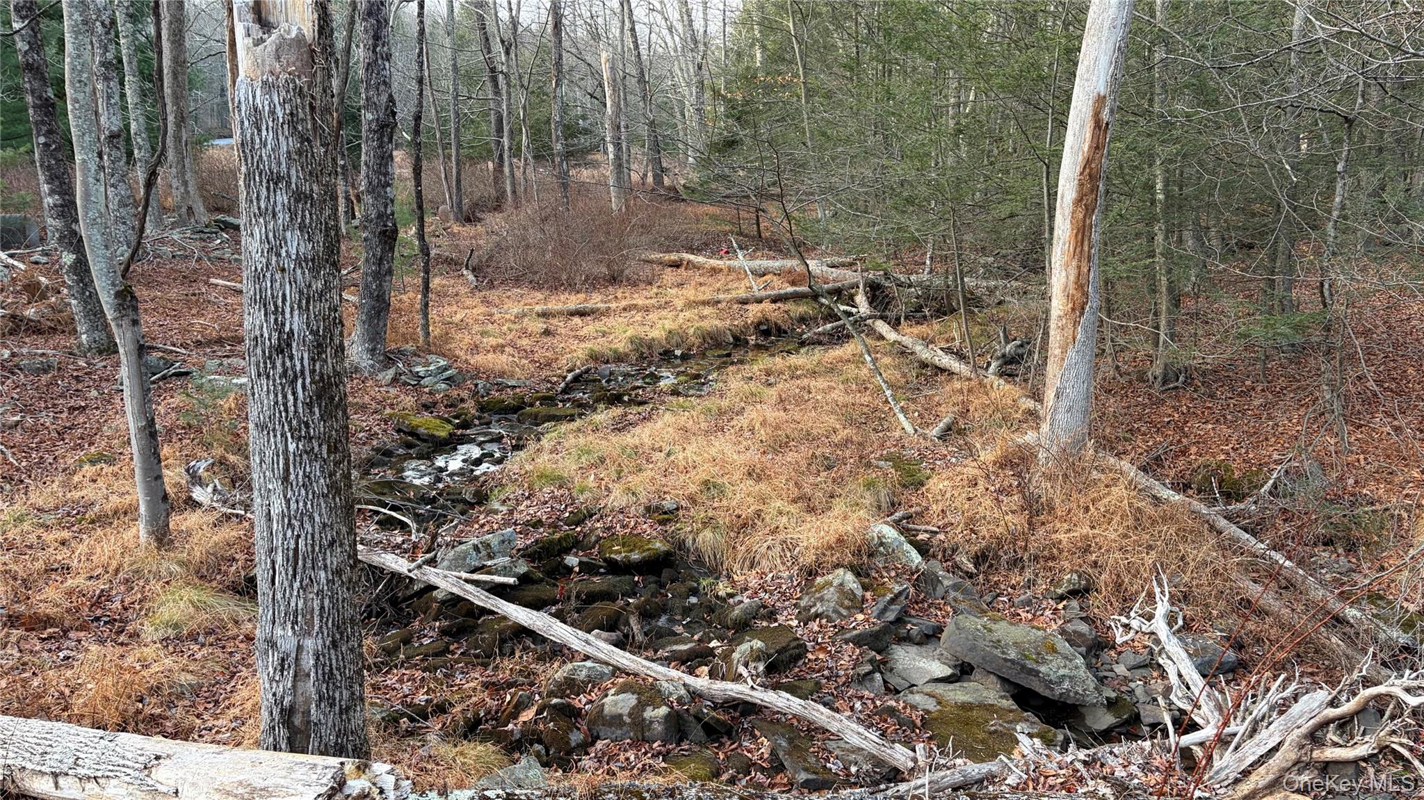 X Aldrich Road Mountain Dale, NY 12790 - Photo 3 of 27 a backyard of a house with lots of green space