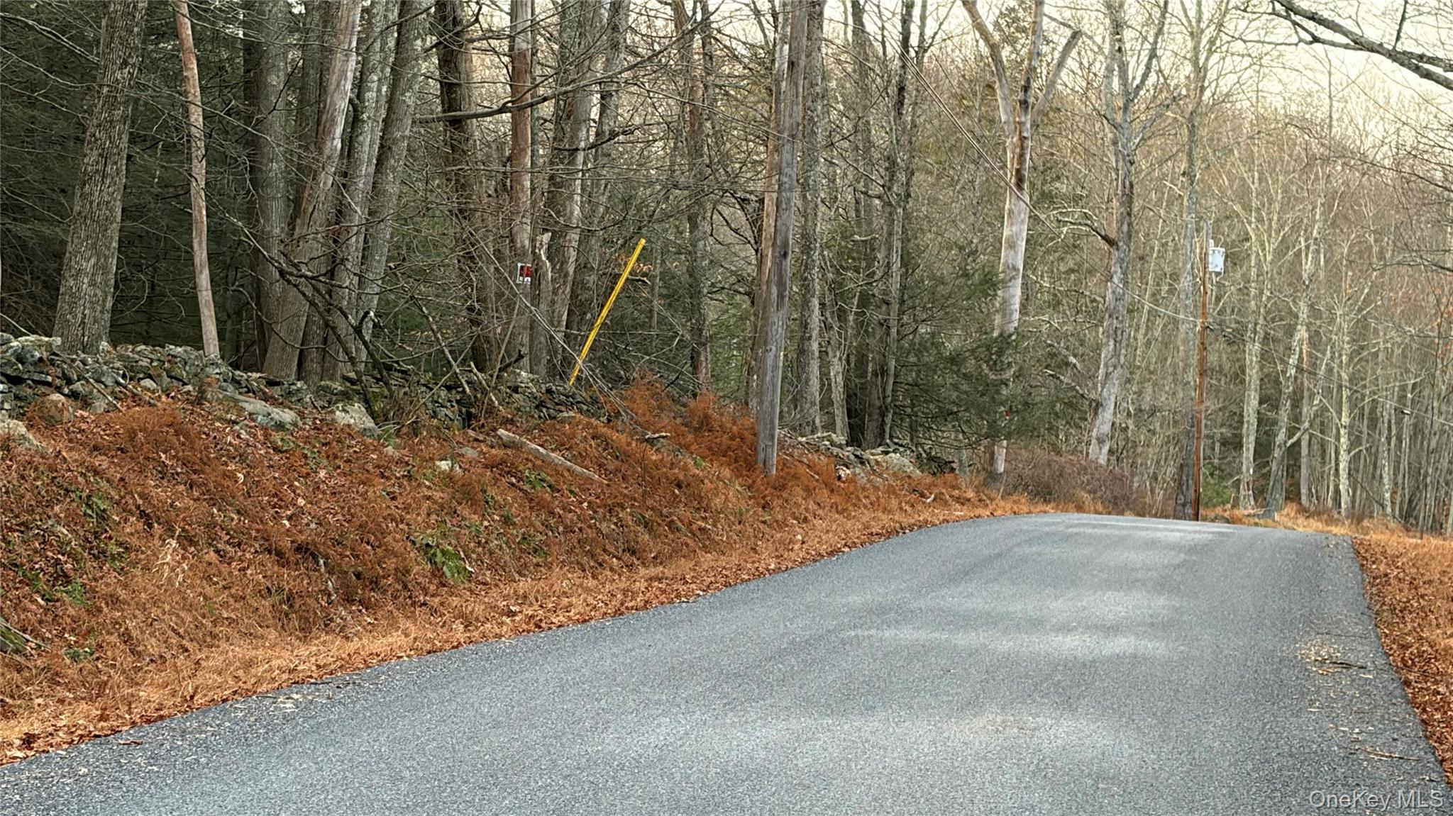 X Aldrich Road Mountain Dale, NY 12790 - Photo 4 of 27 a view of a backyard of the house