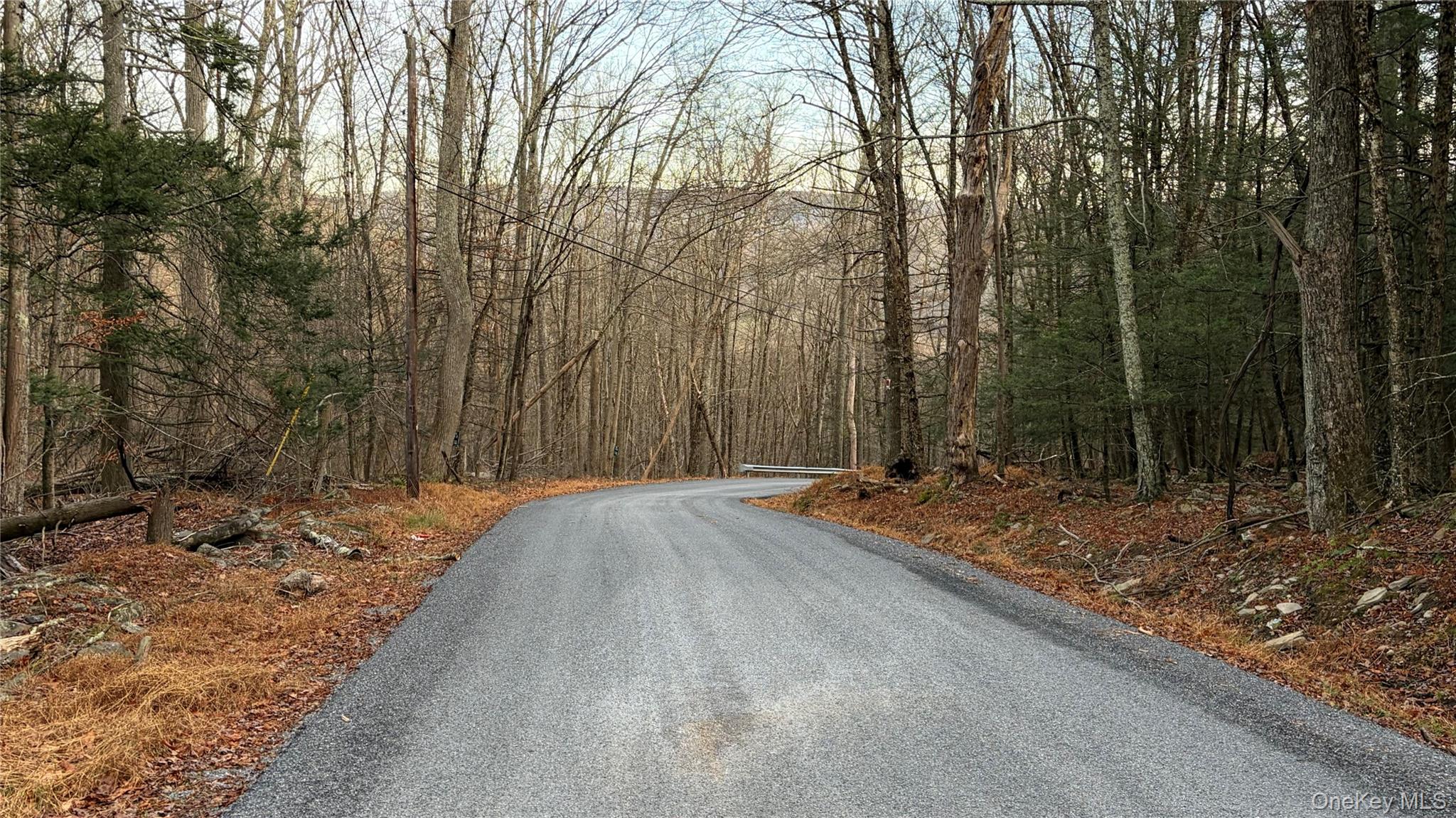 X Aldrich Road Mountain Dale, NY 12790 - Photo 5 of 27 a view of a backyard with large trees
