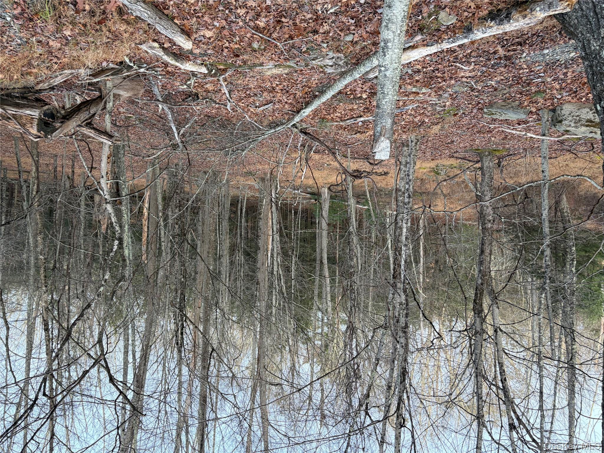 X Aldrich Road Mountain Dale, NY 12790 - Photo 9 of 27 a view of a forest with a bench