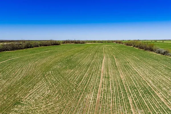 a view of a field with an ocean