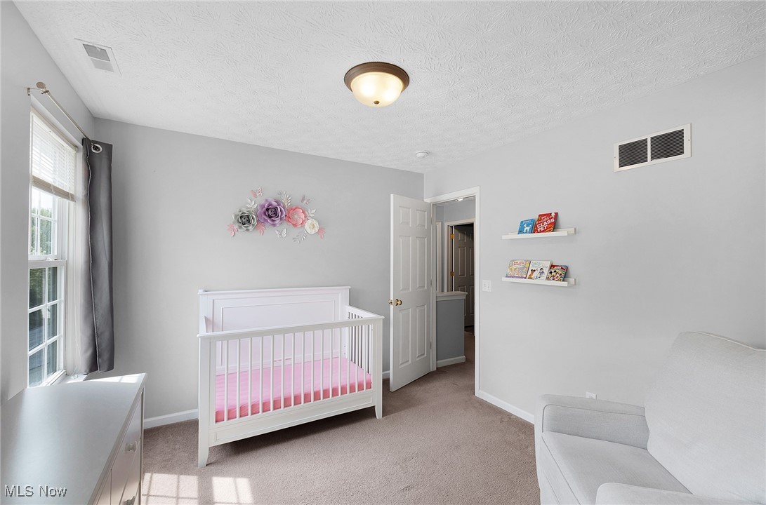 5132 Otten Road North Ridgeville, OH 44039 - Photo 19 of 34 Gallery Image 19
