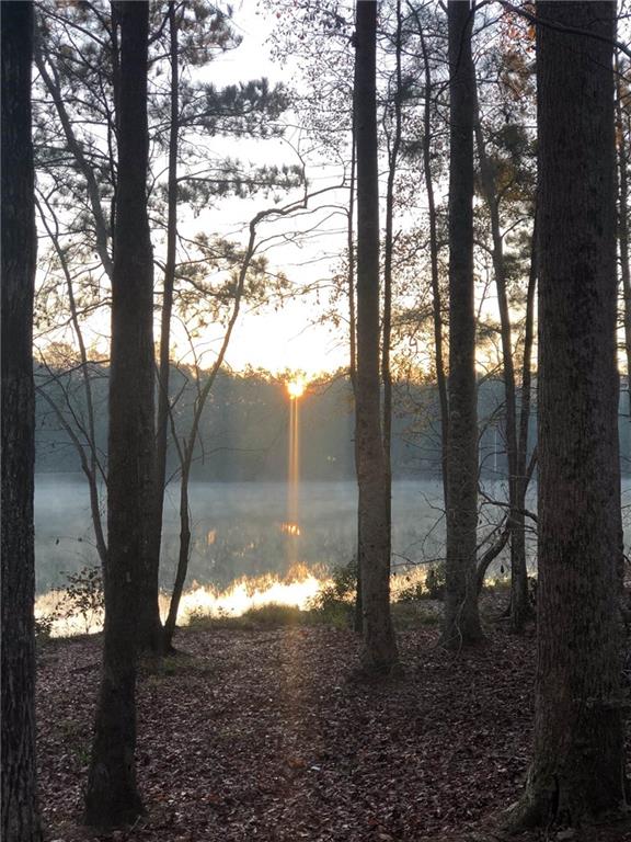 37 Farmstead Way Senoia, GA 30276 - Photo 25 of 96 a view of a yard with a tree