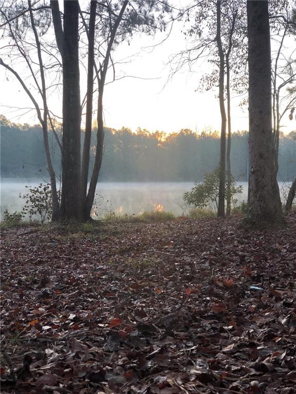 37 Farmstead Way Senoia, GA 30276 - Photo 26 of 96 a view of outdoor space with trees all around