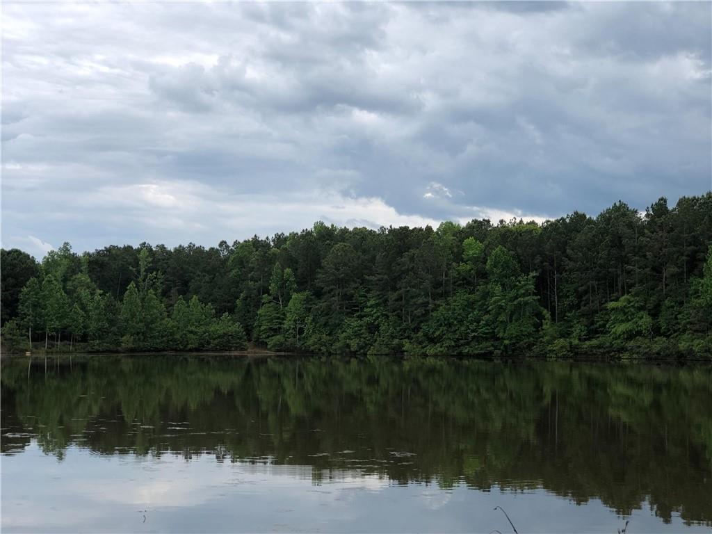 37 Farmstead Way Senoia, GA 30276 - Photo 74 of 96