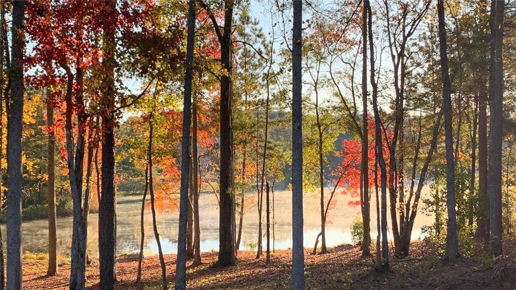 37 Farmstead Way Senoia, GA 30276 - Photo 84 of 96