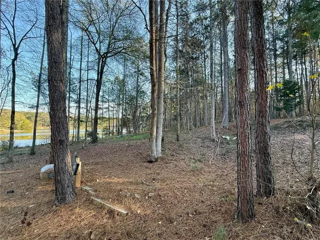 $990,000 | 37 Farmstead Way, Senoia, GA 30276