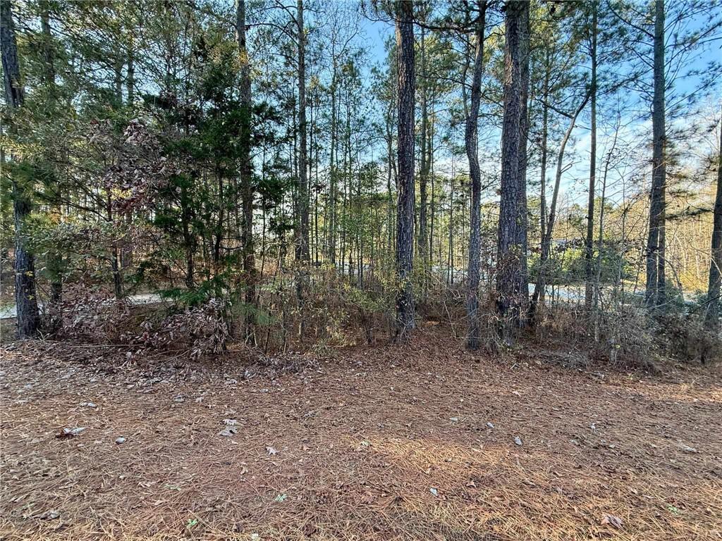 37 Farmstead Way Senoia, GA 30276 - Photo 88 of 96