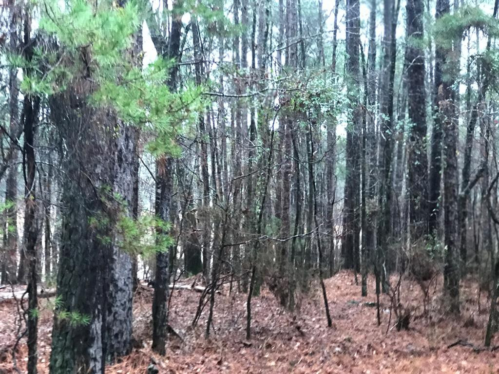167 State Rd S-33-284 McCormick, SC 29835 - Photo 1 of 1 Main View