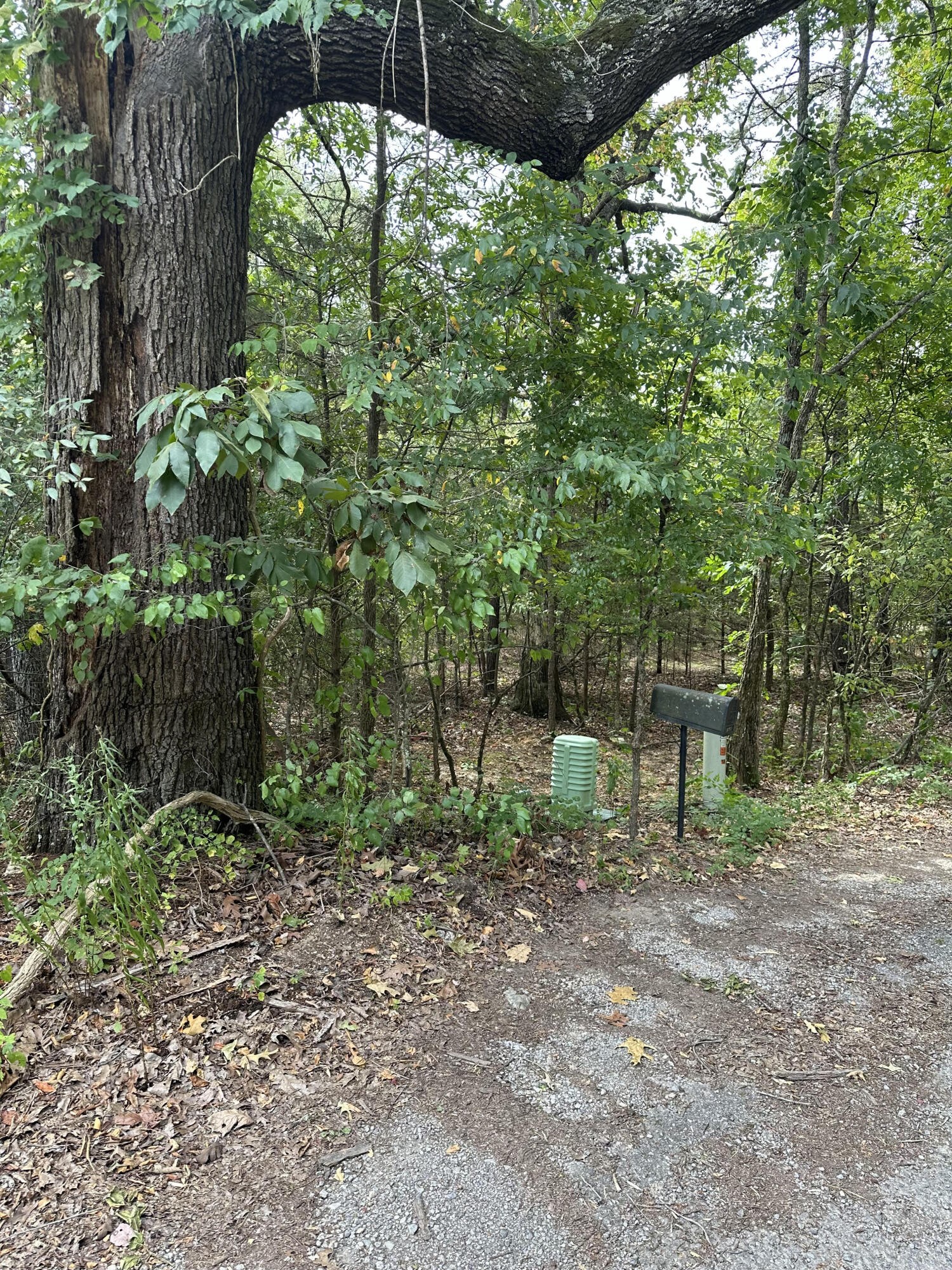 0 Morrison Road Decatur, TN 37322 - Photo 3 of 3