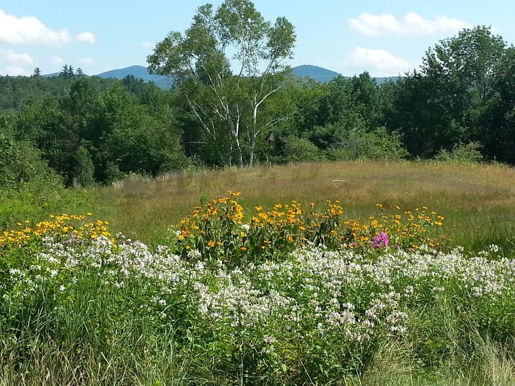 76 Andover Road Rumford, ME 04276 - Photo 2 of 35 Photo