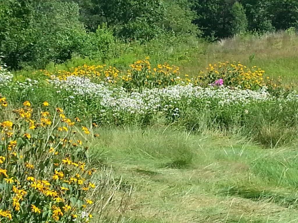 76 Andover Road Rumford, ME 04276 - Photo 3 of 35 Photo