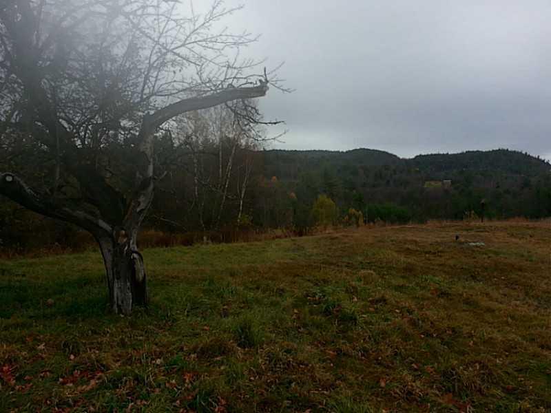 76 Andover Road Rumford, ME 04276 - Photo 32 of 35 Back Yard.