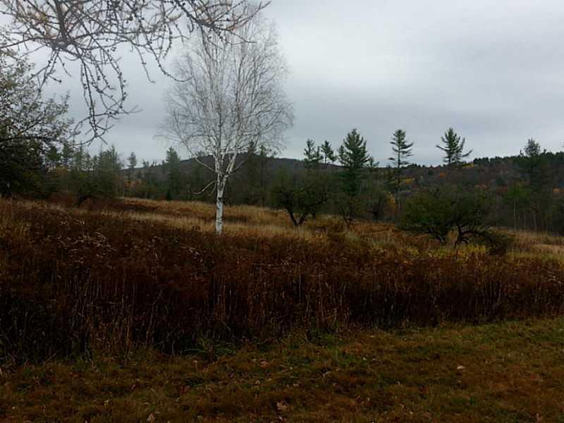 76 Andover Road Rumford, ME 04276 - Photo 33 of 35 Exterior Front.