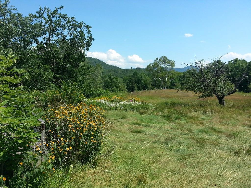 76 Andover Road Rumford, ME 04276 - Photo 5 of 35 Photo