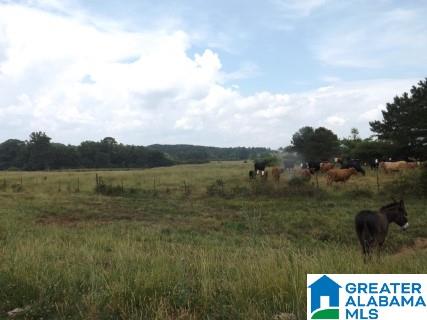 0 Highway 24 Oneonta Al Oneonta, AL 35121 - Photo 9 of 27