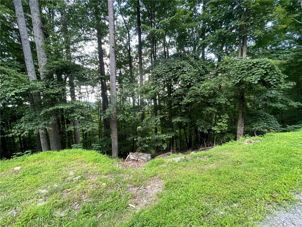 926 Pine Ridge Road Beech Mountain, NC 28604 - Photo 12 of 12